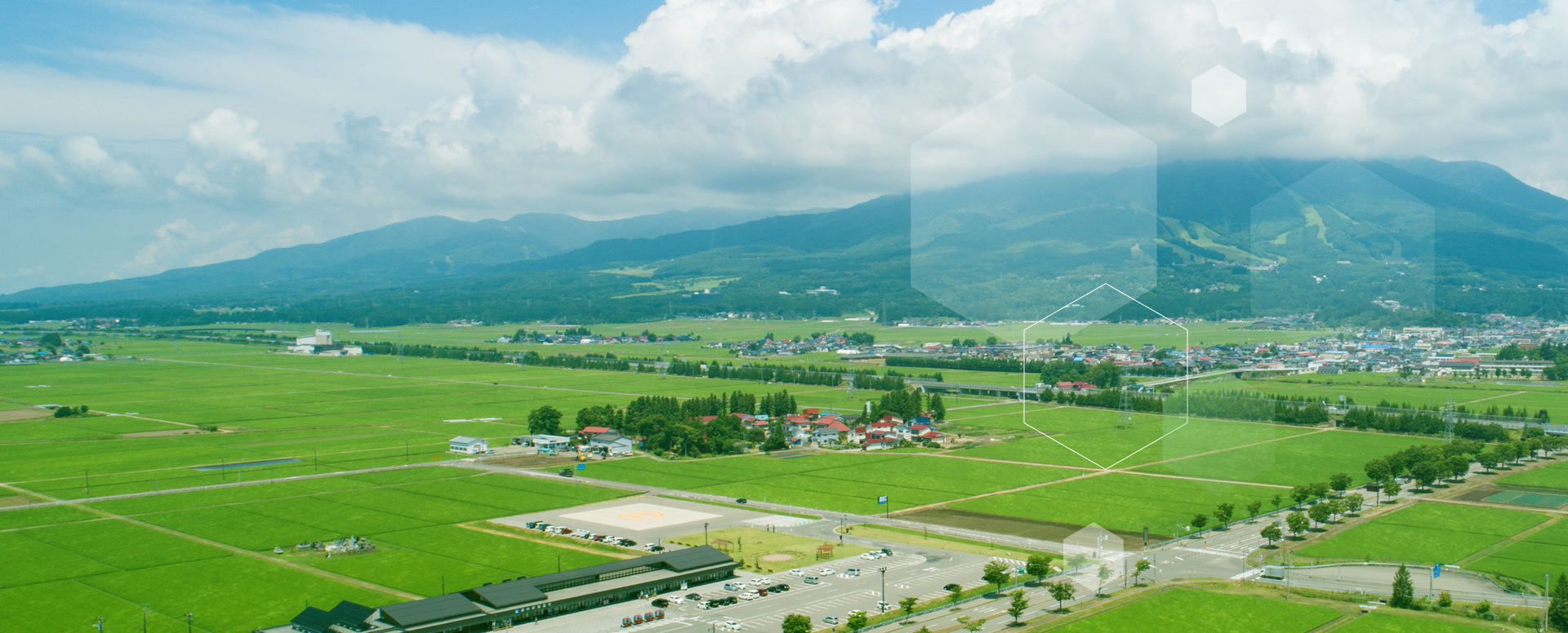 背景